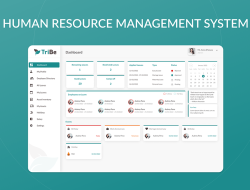 Online Human Resource Management System Made Easy