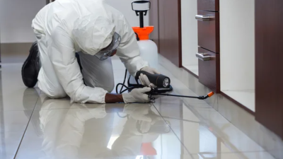 Pest Control Diamond Bar Ca Your Ultimate Solution