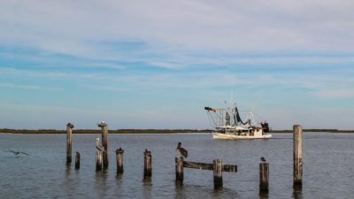 West Lafayette, IN Car Accident Lawyer | Yosha Law Firm