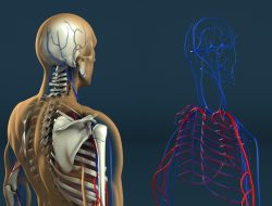 Human Resource Management Software Comparison Made Easy
