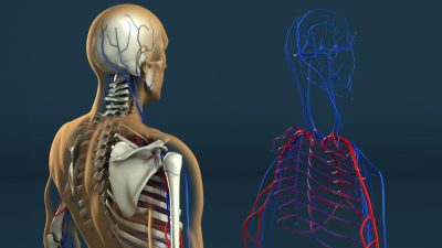 Human Resource Services For Small Business Made Simple